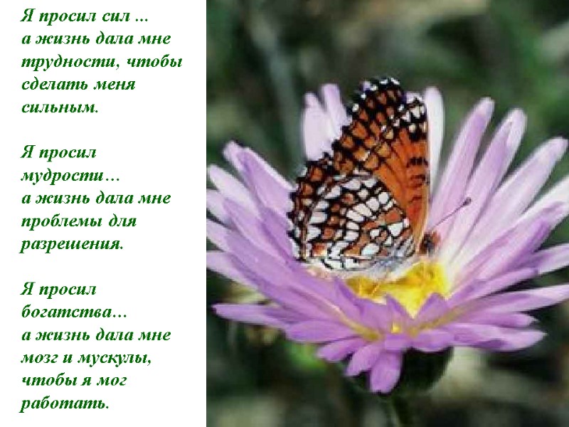 Я просил сил ...        а жизнь дала